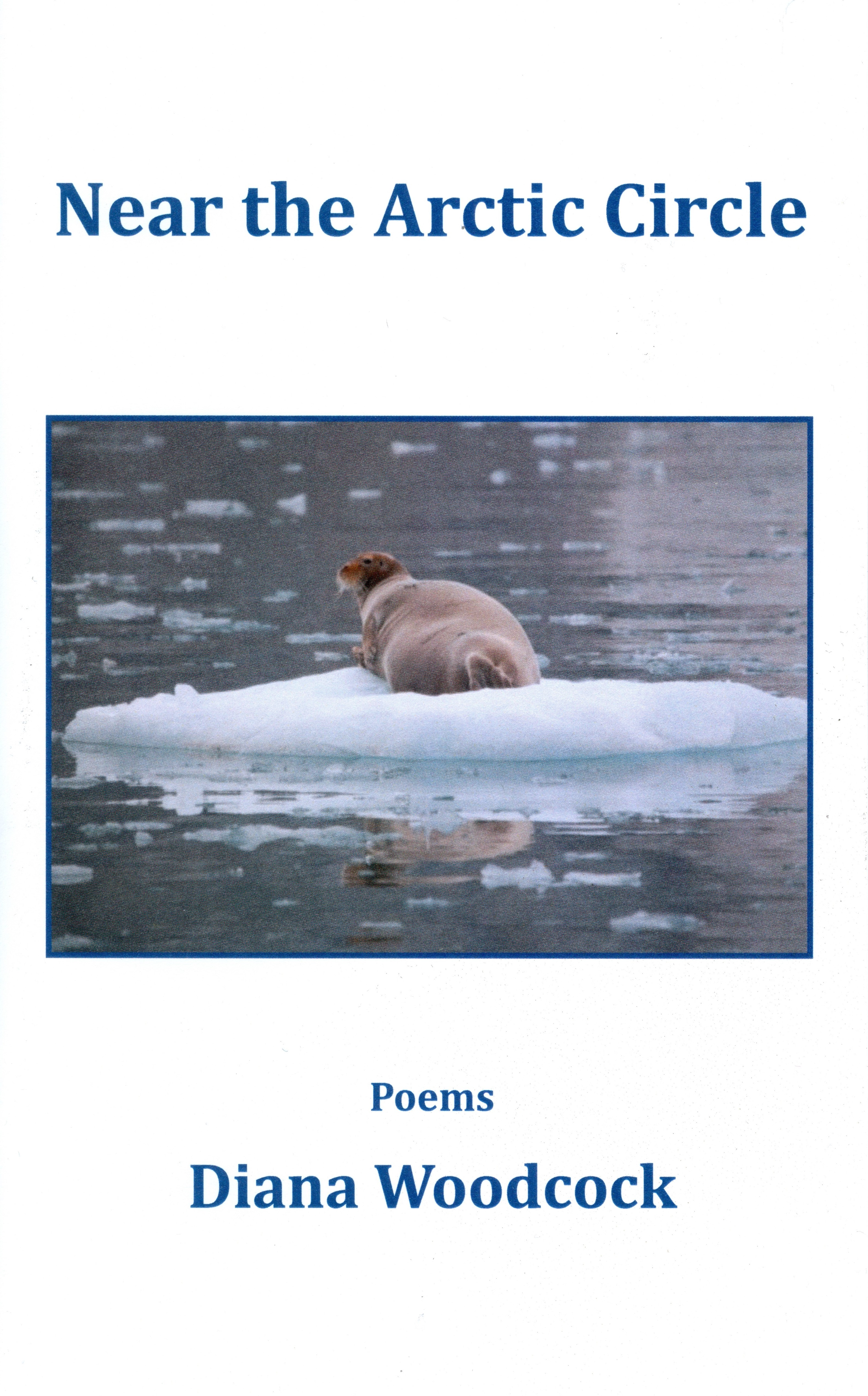 Book cover of NEAR THE ARCTIC CIRCLE by Dr. Diana Woodcock.